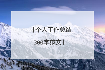 个人工作总结300字范文