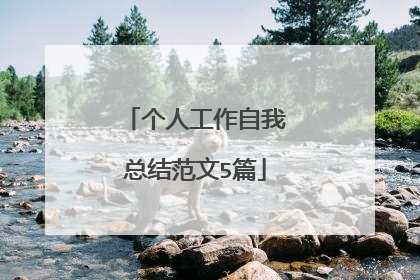 个人工作自我总结范文5篇