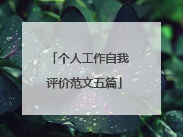 个人工作自我评价范文五篇