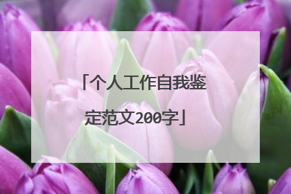 个人工作自我鉴定范文200字