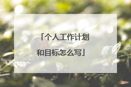 个人工作计划和目标怎么写