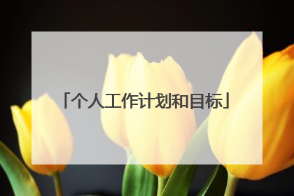 个人工作计划和目标