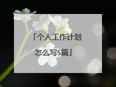 个人工作计划怎么写5篇