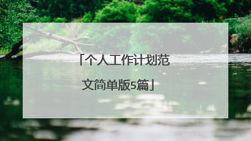 个人工作计划范文简单版5篇