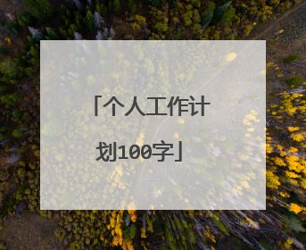 个人工作计划100字