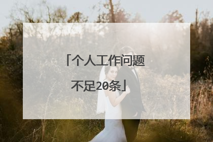 个人工作问题不足20条
