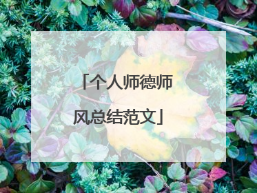 个人师德师风总结范文