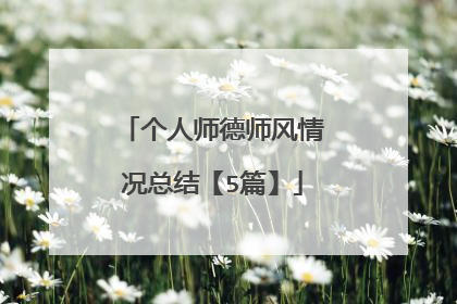 个人师德师风情况总结【5篇】