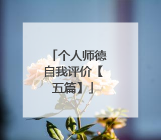 个人师德自我评价【五篇】