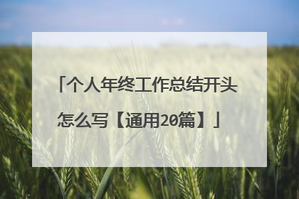 个人年终工作总结开头怎么写【通用20篇】