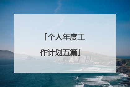 个人年度工作计划五篇
