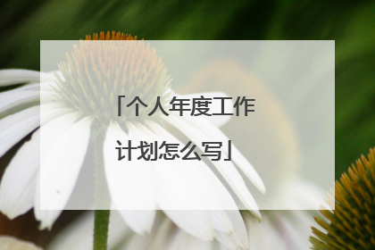 个人年度工作计划怎么写