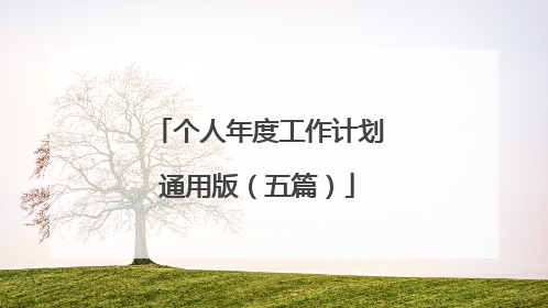 个人年度工作计划通用版（五篇）