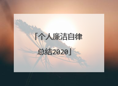 个人廉洁自律总结2020