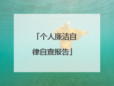 个人廉洁自律自查报告