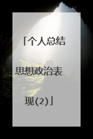 个人总结思想政治表现(2)