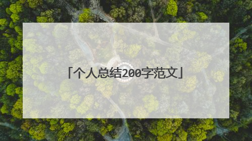 个人总结200字范文