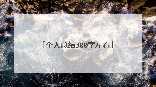 个人总结300字左右