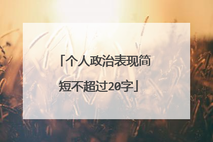 个人政治表现简短不超过20字