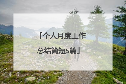 个人月度工作总结简短5篇