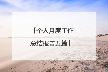 个人月度工作总结报告五篇
