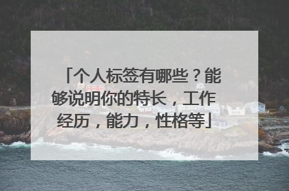 个人标签有哪些？能够说明你的特长，工作经历，能力，性格等