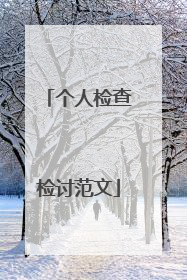 个人检查检讨范文