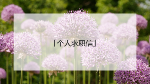 个人求职信