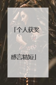 个人获奖感言精短