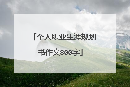 个人职业生涯规划书作文800字