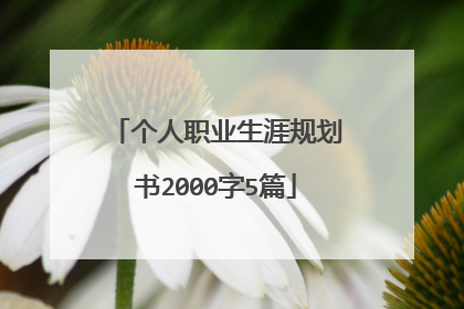 个人职业生涯规划书2000字5篇