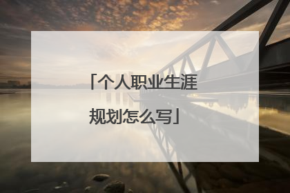 个人职业生涯规划怎么写
