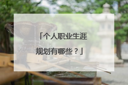 个人职业生涯规划有哪些？