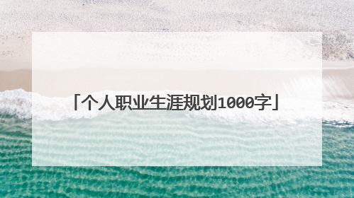 个人职业生涯规划1000字