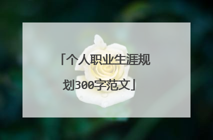 个人职业生涯规划300字范文