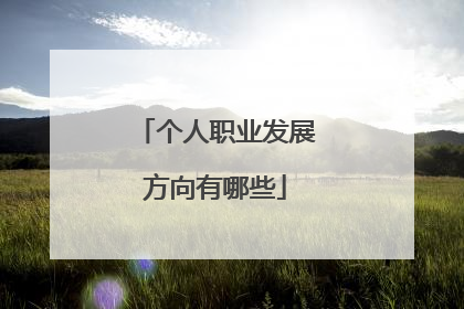 个人职业发展方向有哪些
