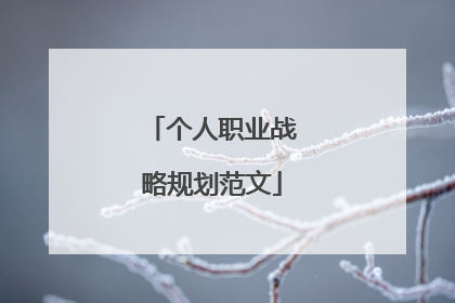 个人职业战略规划范文
