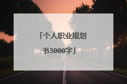 个人职业规划书3000字