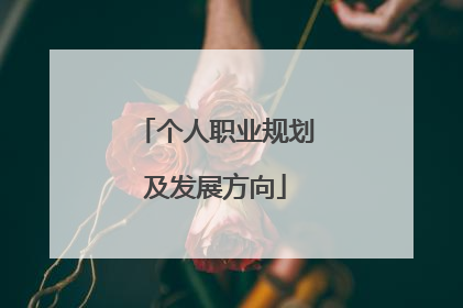 个人职业规划及发展方向