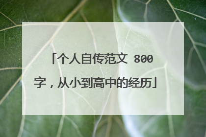 个人自传范文 800字，从小到高中的经历