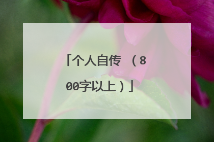 个人自传 （800字以上）