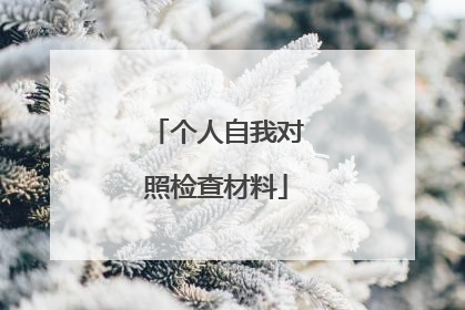 个人自我对照检查材料