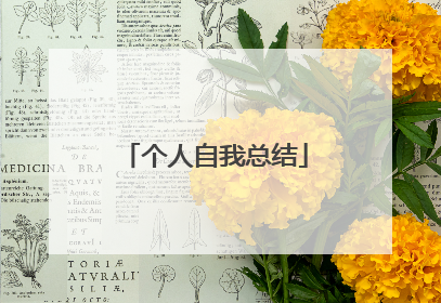 个人自我总结