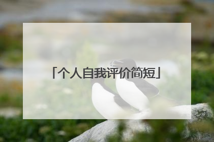 个人自我评价简短