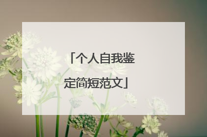 个人自我鉴定简短范文