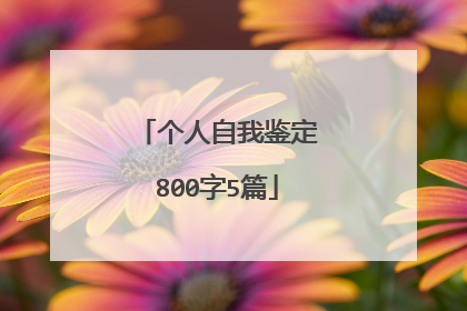 个人自我鉴定800字5篇