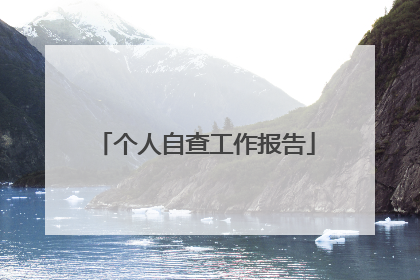 个人自查工作报告