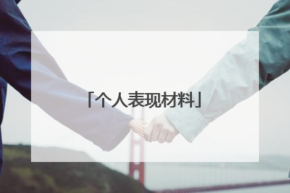 个人表现材料