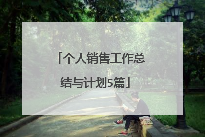 个人销售工作总结与计划5篇