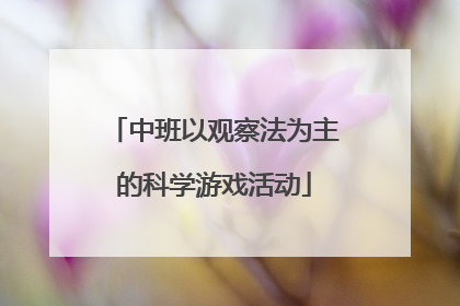 中班以观察法为主的科学游戏活动